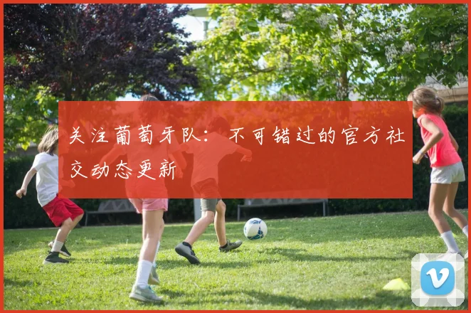 关注葡萄牙队：不可错过的官方社交动态更新