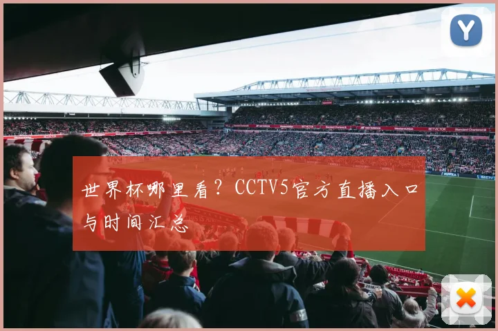 世界杯哪里看？CCTV5官方直播入口与时间汇总