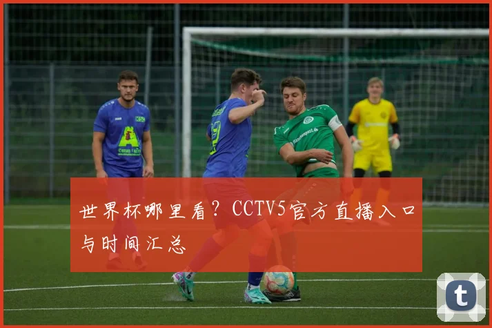 世界杯哪里看？CCTV5官方直播入口与时间汇总