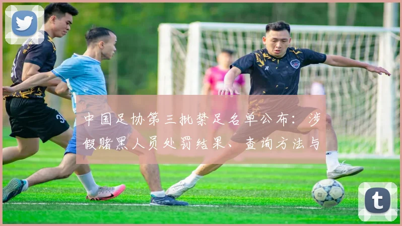 中国足协第三批禁足名单公布：涉假赌黑人员处罚结果、查询方法与对联赛影响深度解读