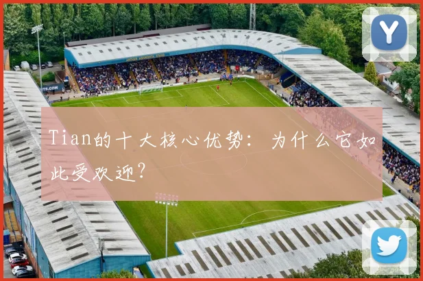 Tian的十大核心优势：为什么它如此受欢迎？